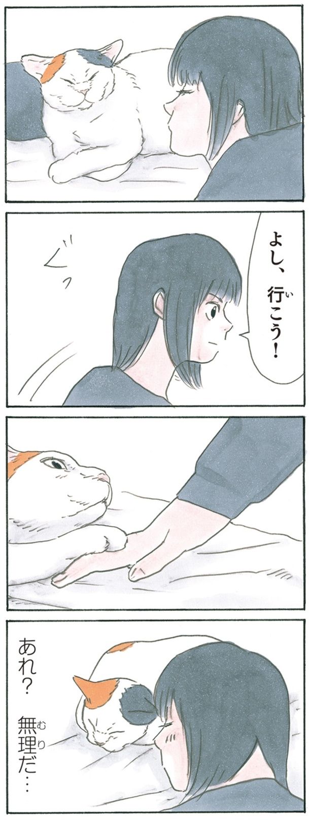 あれ？ （C）にごたろ／KADOKAWA