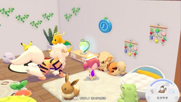 家の内装にも作り手のこだわりが光る