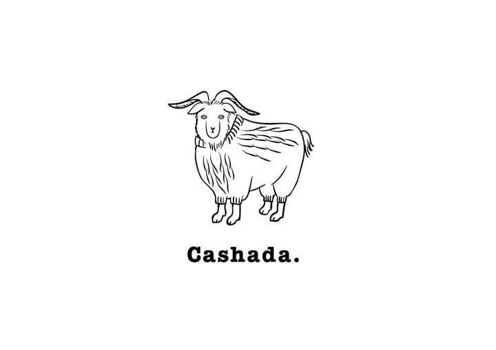 画像: 出典：cashada-by-noren.stores.jp