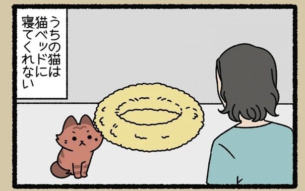 ベッドもダンボール箱も興味がない「きじむなー」の好きな場所 （C）ぱんだにあ／竹書房