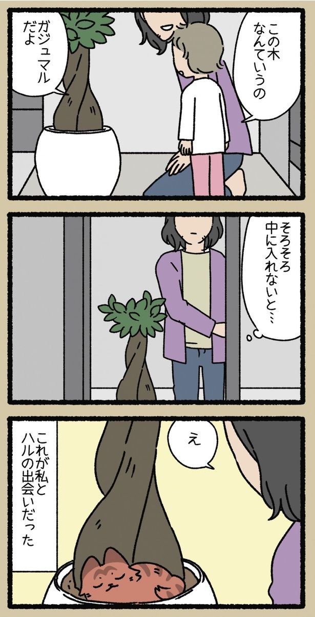 え… （C）ぱんだにあ／竹書房