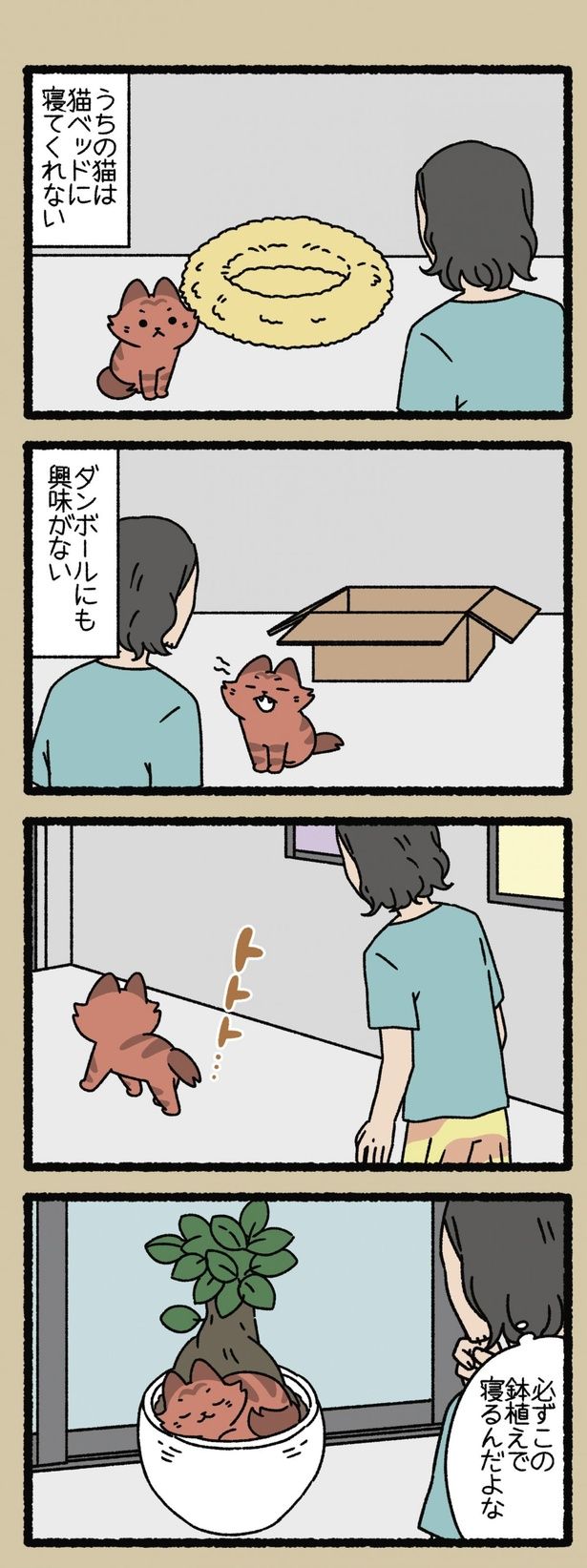 猫ベッドに寝てくれない （C）ぱんだにあ／竹書房