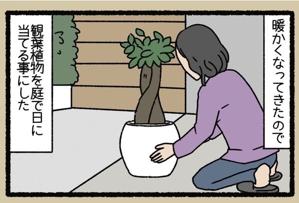 暖かくなってきたので （C）ぱんだにあ／竹書房