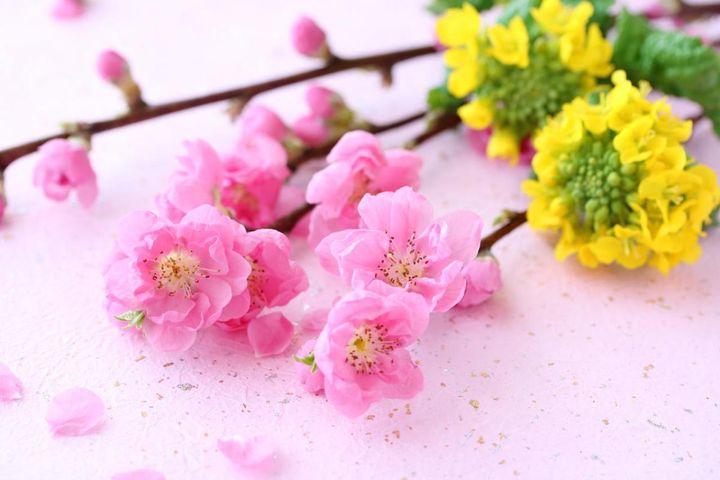 3月2日の「お清め」とは？【365日きょうのお清め】邪気を祓って幸せになる！