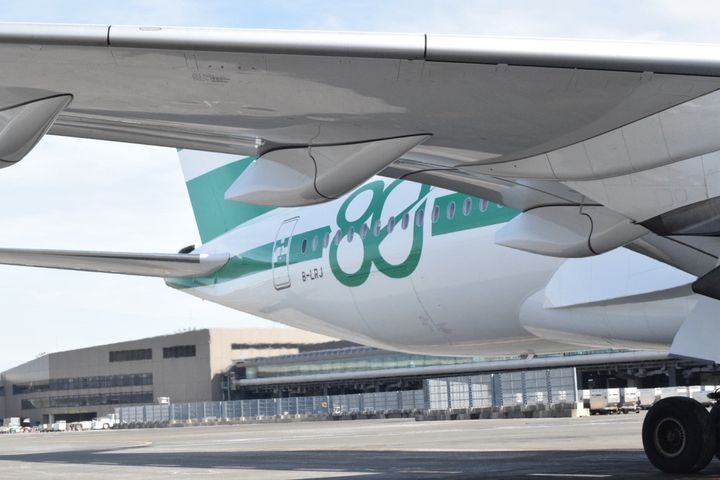 80周年記念マーク