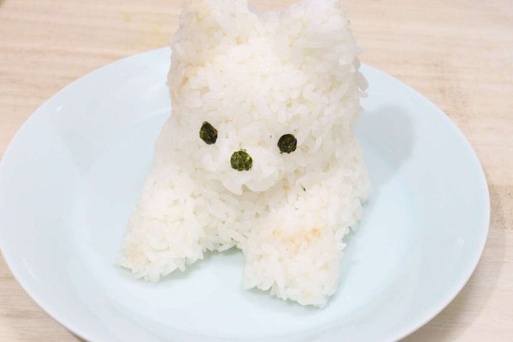 ダイソーのデコかわ ごはん de おすわり わんにゃんで作ったごはん