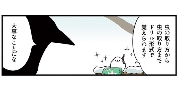 ドリル形式で覚えられる （C）青春／KADOKAWA