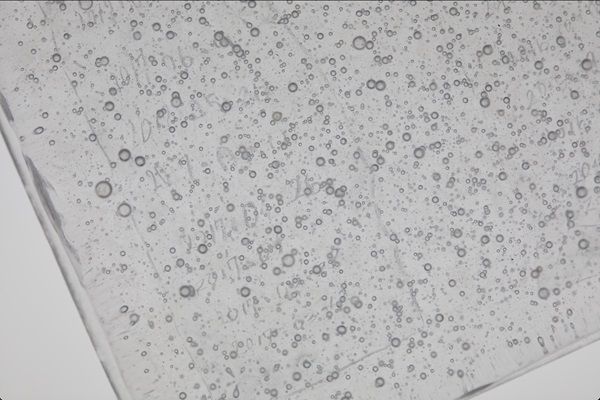 【東京都渋谷区】日本人女性現代美術作家5人の展覧会！「本」にインスピレーションを受けた作品を展示