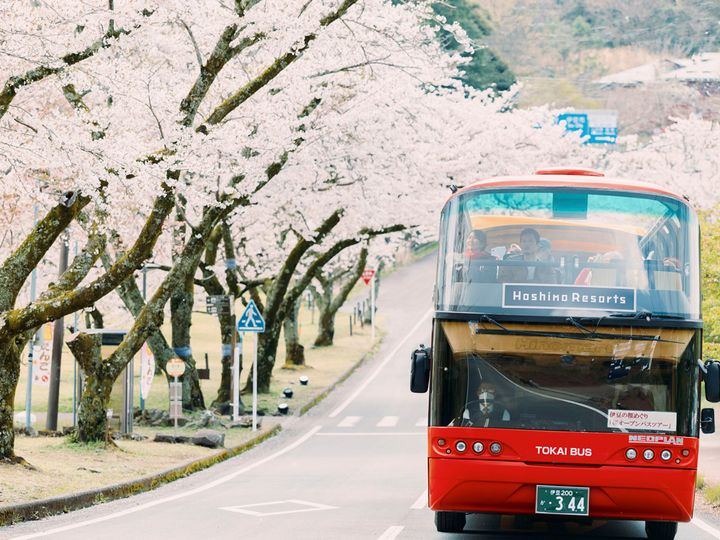 特徴１ オープンバスで春の風を感じながら360度見渡せる大パノラマの桜スポットを走り抜ける