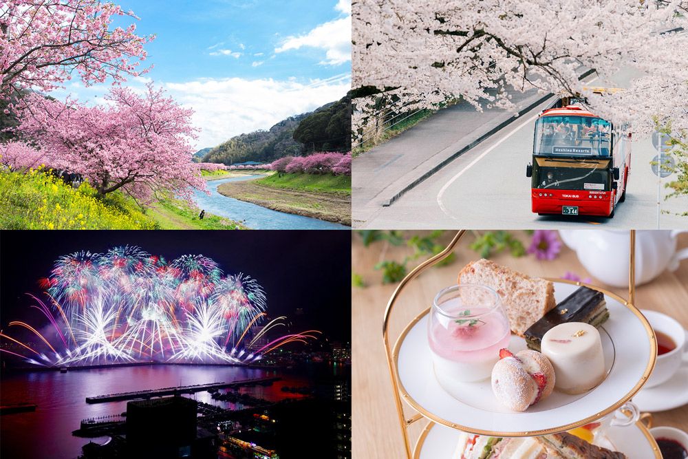 3月〜4月】2026年伊豆で春イベント続々！ 桜オープンバス、夜桜、花火
