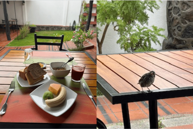 朝食と小鳥