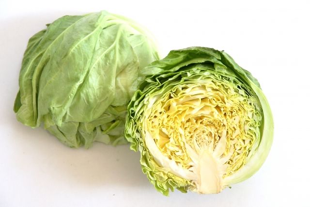 新鮮な春キャベツ 半分にカット 断面図 まんまる