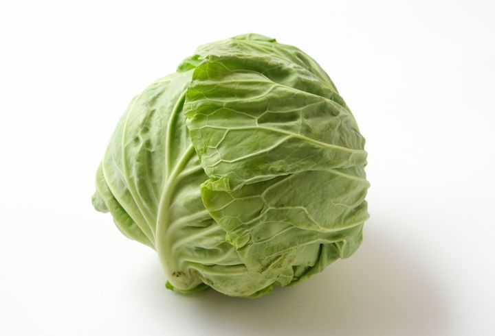 新鮮な春キャベツ ひと玉まるまる