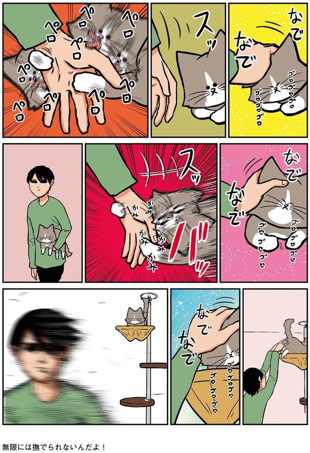 なでなで （C）鴻池剛／KADOKAWA