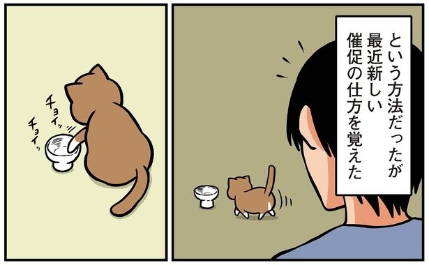 最近新しい催促の仕方を覚えた （C）鴻池剛／KADOKAWA