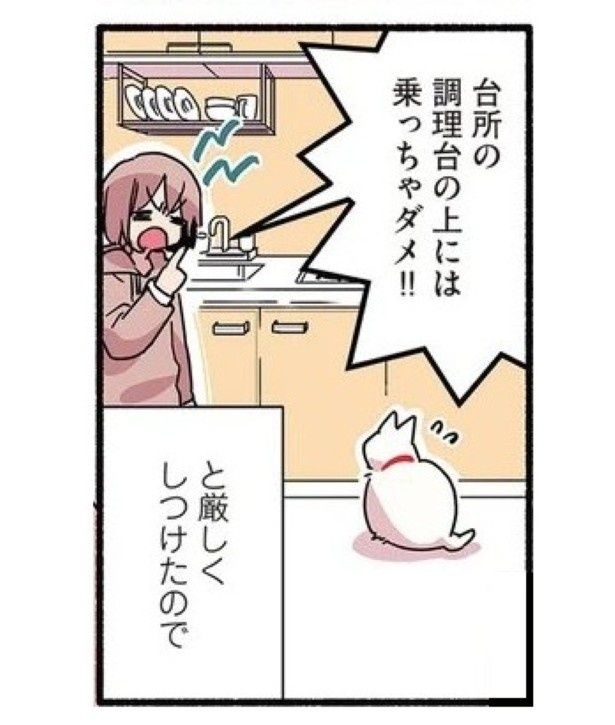 当たり屋してくる猫_P02 久川はる(@hisakawa_haru)