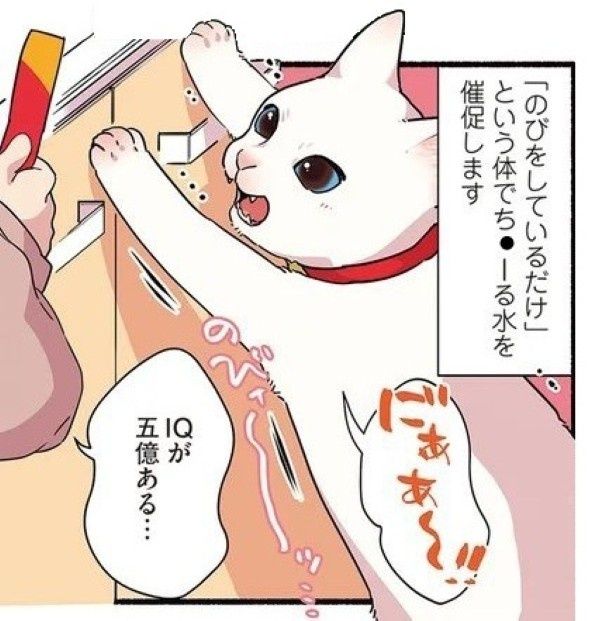 ごはんをもらうためなら小さな頭の中をフル回転！ 久川はる(@hisakawa_haru)