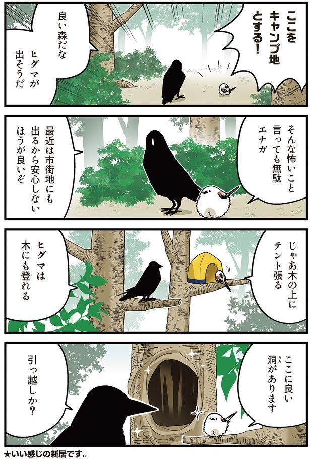 ここをキャンプ地とする！ （C）青春／KADOKAWA