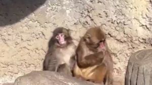 YUKIさん提供（市川市動植物園）