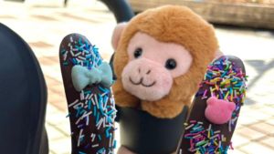 YUKIさん提供（市川市動植物園）