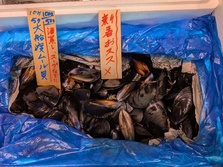 鮮魚店で見かけた生のムール貝。実は国内で猛烈に繁殖しています