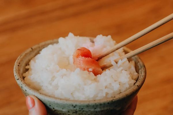 【東京都渋谷区】定食屋「THE TEISYOKU SHOP」が原宿内で移転・拡大！居酒屋やカフェとしても利用可能