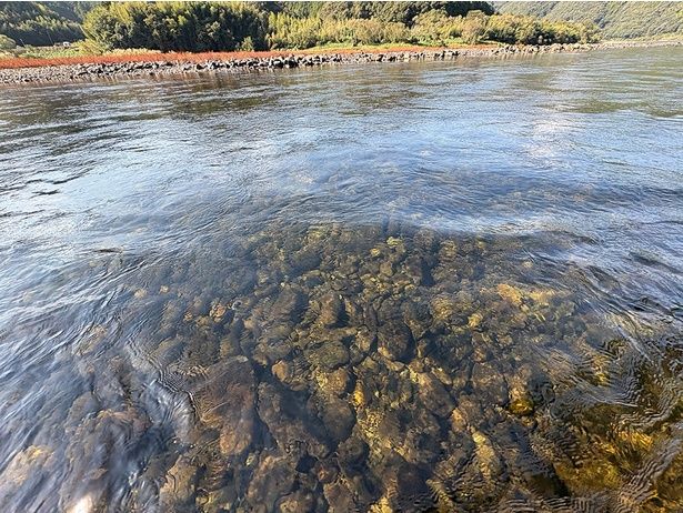 びっくりするほど水が透明！