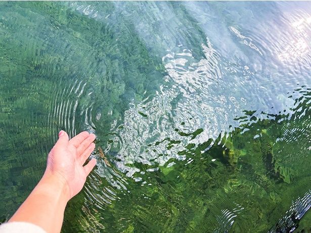 エンジンを止めている間は窓から手を伸ばして水にさわることができる