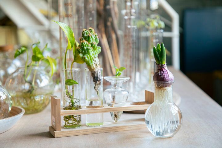 ビーカー、フラスコ、試験管がインテリアに♪清澄白河にある実験アイテムの専門店「リカシツ」