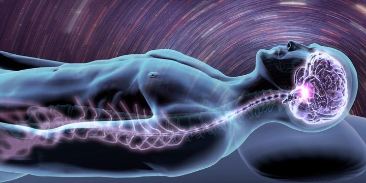 食物繊維と眠りの質はとこまでつながっているのか？