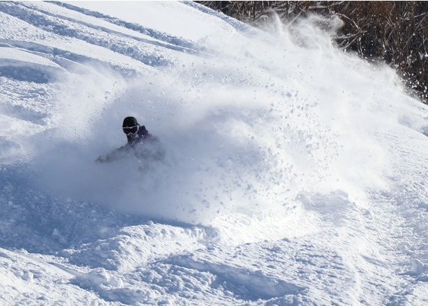 絶景＆パウダースノーが存分に楽しめる