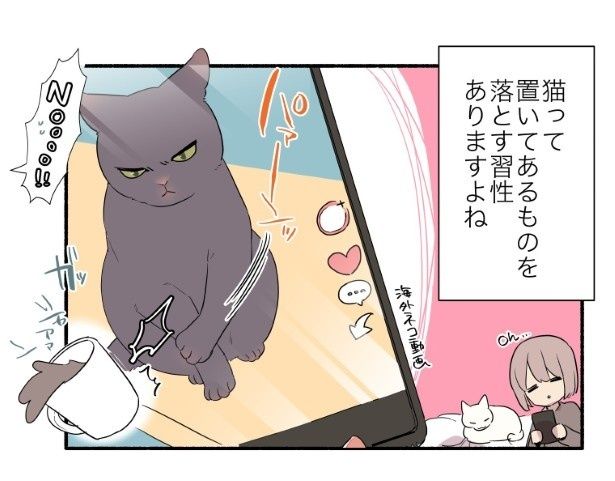 こういう動画、よく見かける。でもコーヒーはやめて～！ 久川はる(@hisakawa_haru)