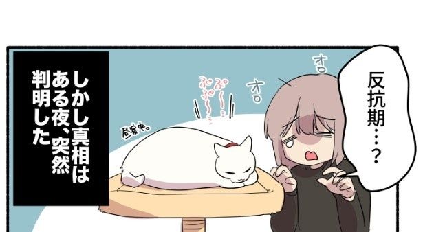 反抗期を迎えたかもしれないと気が気じゃない飼い主をよそにスヤスヤ 久川はる(@hisakawa_haru)