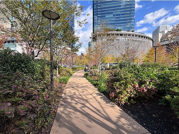 気持ちのよい日差しを浴びながらお散歩