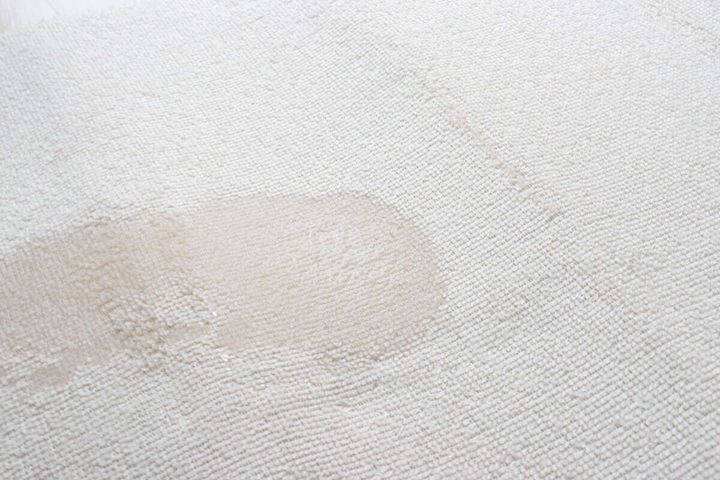 ダイソーの吸水性が良い洗えるパイルマット（吸水）