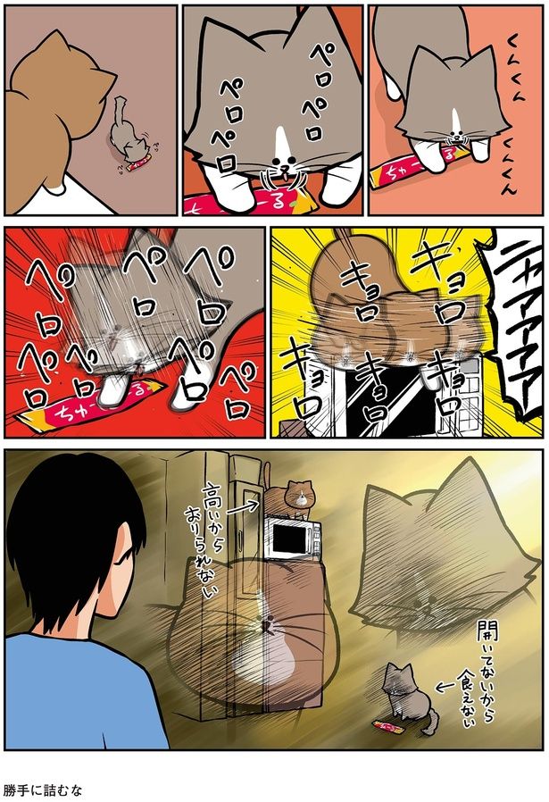 ニャアアアア （C）鴻池剛／KADOKAWA