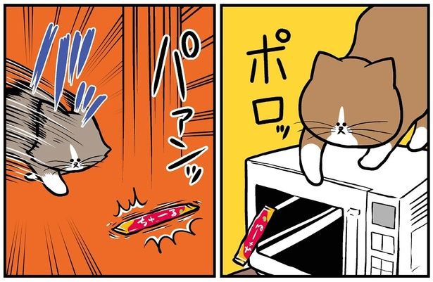 ポロッ バッ （C）鴻池剛／KADOKAWA