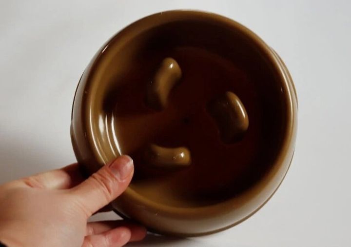 ダイソー フードボウル（早食い防止）