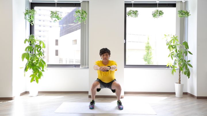 スクワット 正面の図