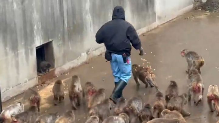 冷たい雨が降った3月3日。休園日明けの市川市動植物園には、悪天候にも関わらず、パンチくんの成長を願う熱心なファンたちが集まりました。