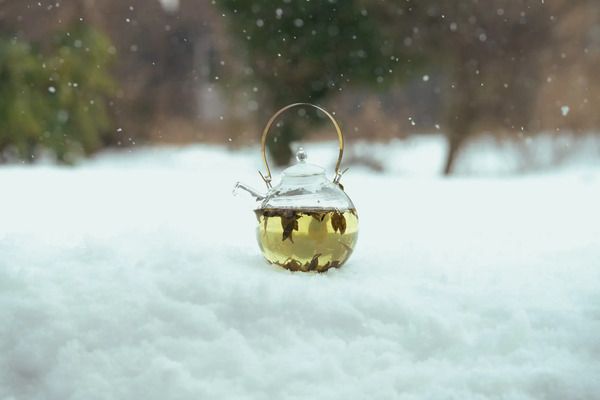 乳酸発酵×先進技術で生まれた、古くて新しい乳酸発酵茶「村上酸茶」先行販売中！