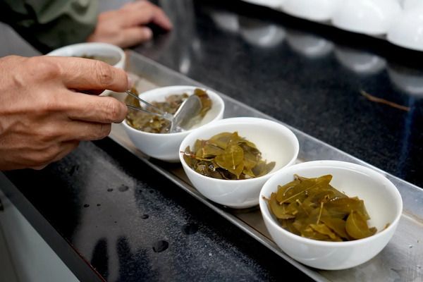 乳酸発酵×先進技術で生まれた、古くて新しい乳酸発酵茶「村上酸茶」先行販売中！