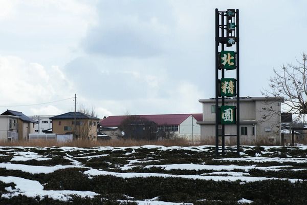 乳酸発酵×先進技術で生まれた、古くて新しい乳酸発酵茶「村上酸茶」先行販売中！