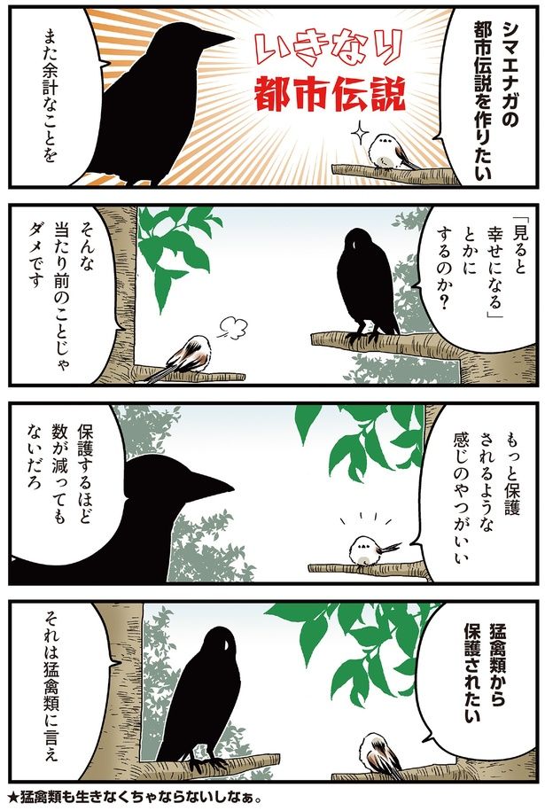 シマエナガの都市伝説 （C）青春／KADOKAWA