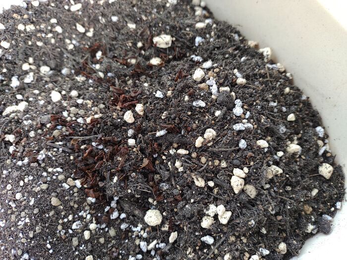 飲み終わった『紅茶ティーバッグ』、捨てるの待った！ムダなく使い切る活用術で→ますます紅茶が好きになる♡