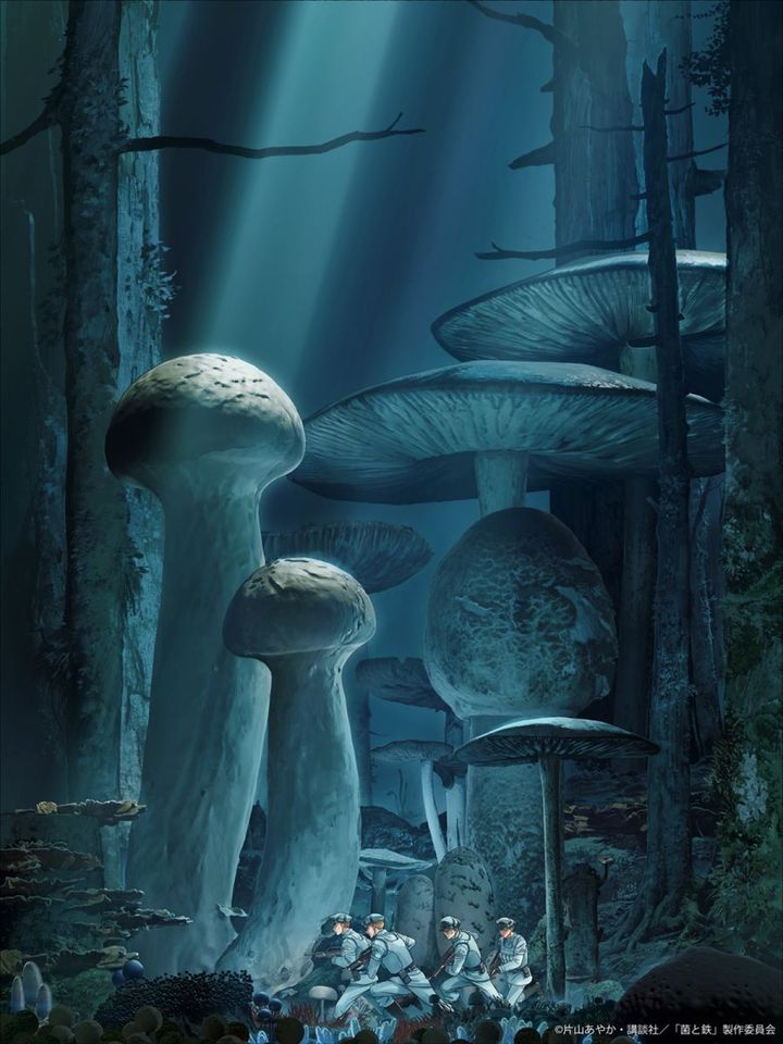 アニメ『菌と鉄』ティザービジュアル （C）片山あやか・講談社／「菌と鉄」製作委員会 width=