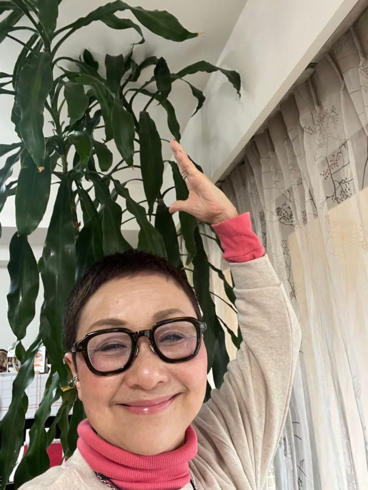 幸福の木「ドラセナ」