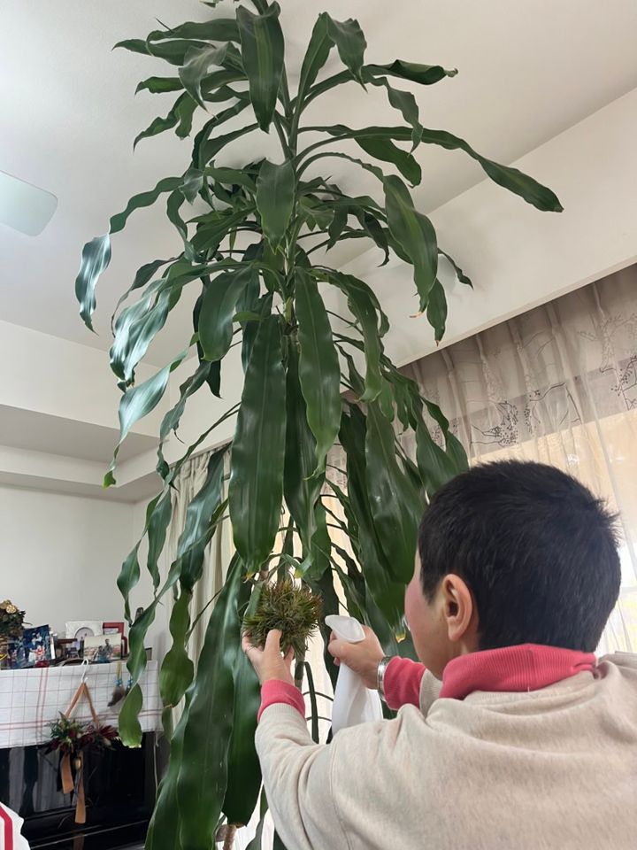 冬場は霧吹きでお手入れ