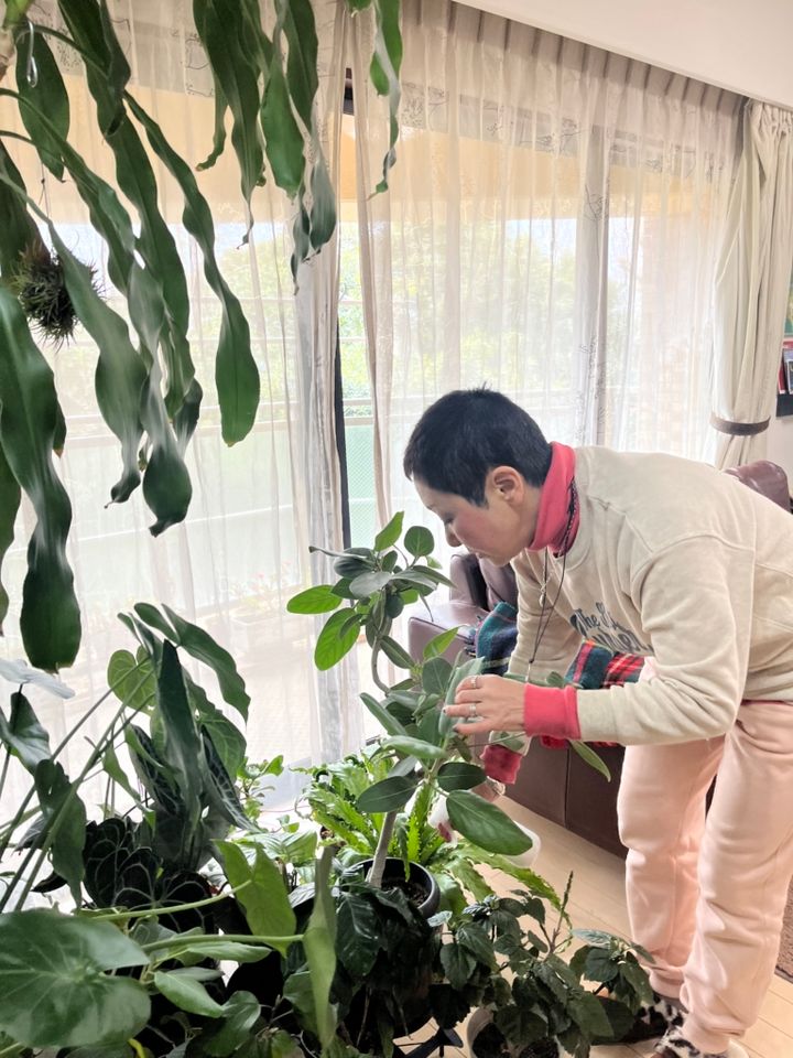 冬場は霧吹きでお手入れ