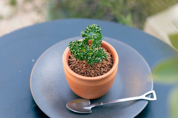 小さな森のような空間が素敵♪アートも楽しめるボタニカルカフェ「ル・ボア」でほっとひと息